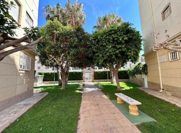 Wiederverkauf - Wohnung - Torrevieja - Torrevieja Centro