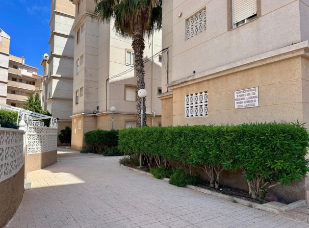 Wiederverkauf - Wohnung - Torrevieja - Torrevieja Centro