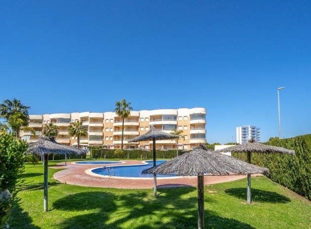 Wiederverkauf - Wohnung - Orihuela - Campoamor