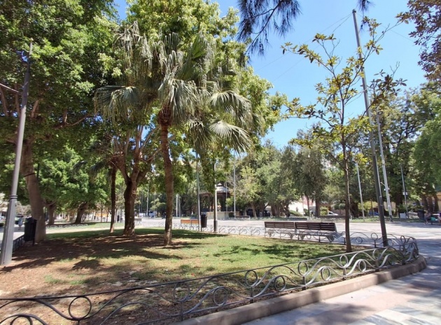 Wiederverkauf - Wohnung - Orihuela - Orihuela Centro