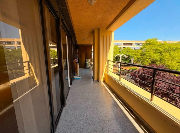 Wiederverkauf - Wohnung - Guardamar del Segura - Guardamar del Segura Centro
