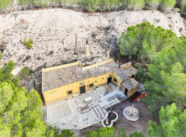 Wiederverkauf - Country Property - Pinoso - Pinoso Centro