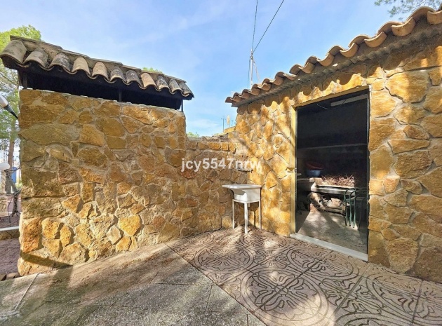 Wiederverkauf - Country Property - Pinoso - Pinoso Centro