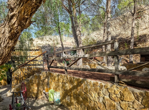 Wiederverkauf - Country Property - Pinoso - Pinoso Centro