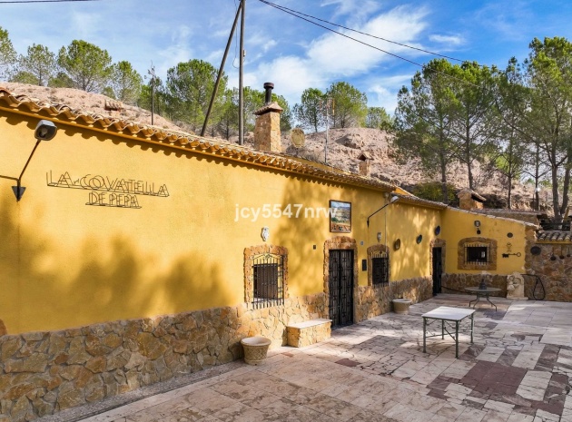 Wiederverkauf - Country Property - Pinoso - Pinoso Centro