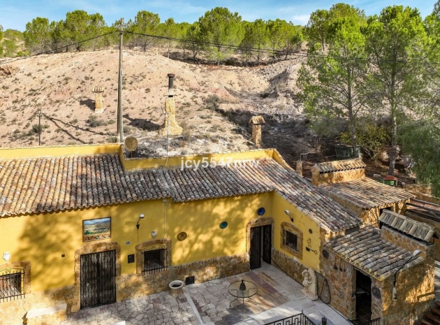 Wiederverkauf - Country Property - Pinoso - Pinoso Centro