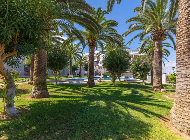 Wiederverkauf - Wohnung - Torrevieja - La Mata