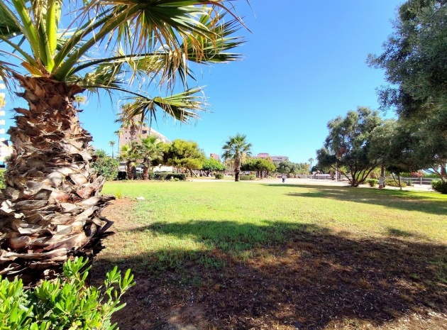 Wiederverkauf - Wohnung - Torrevieja - La Mata