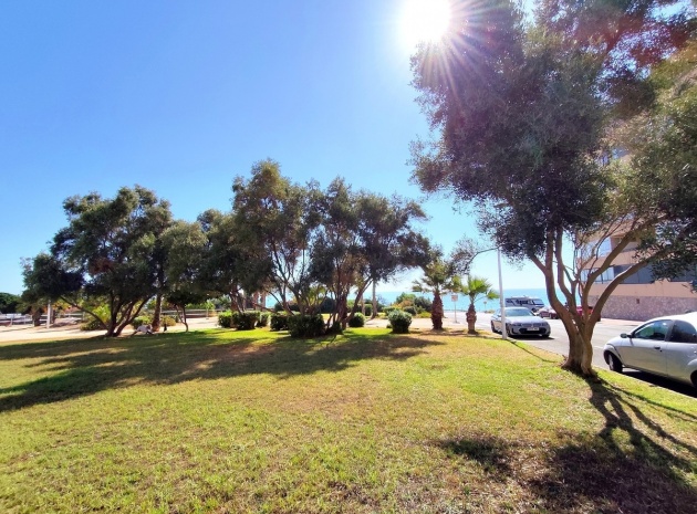 Wiederverkauf - Wohnung - Torrevieja - La Mata