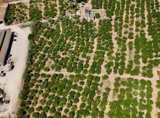Wederverkoop - Country Property - Orihuela