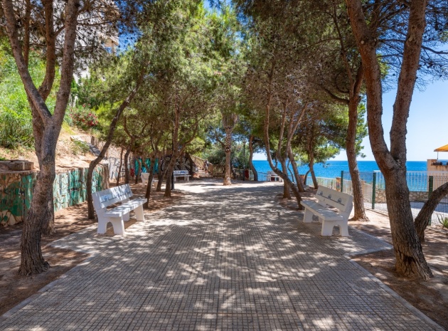 Återförsäljning - Lägenhet - Cabo Roig