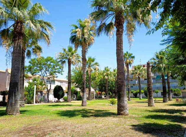 Wiederverkauf - Wohnung - Cabo Roig - la regia