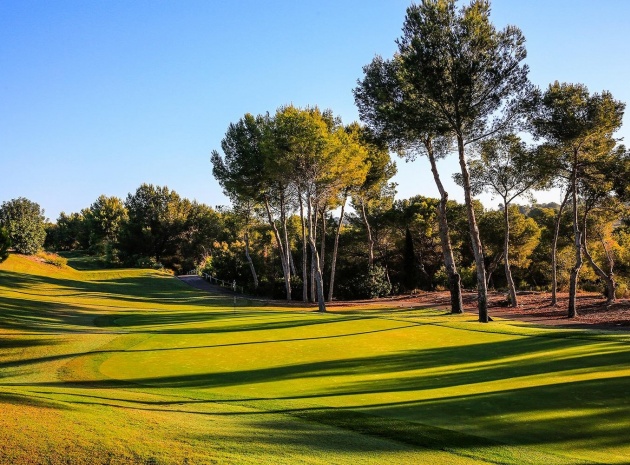 Neubau - Villa - Orihuela - Las Colinas Golf