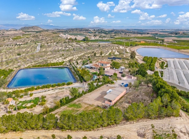 Wiederverkauf - Country Property - Orihuela - Torremendo