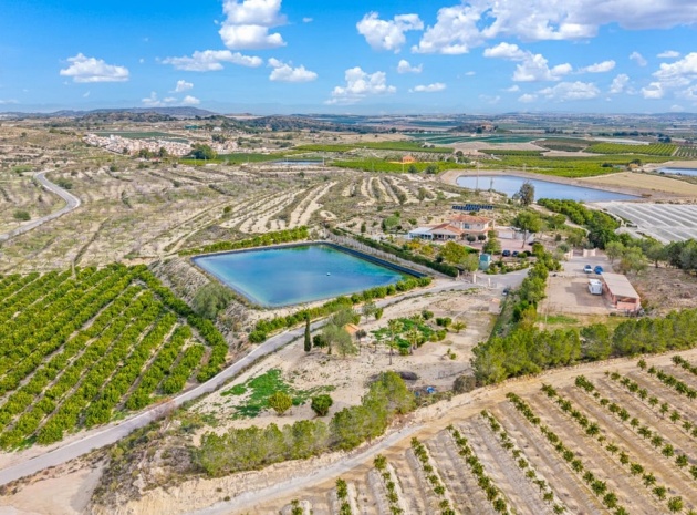 Wiederverkauf - Country Property - Orihuela - Torremendo