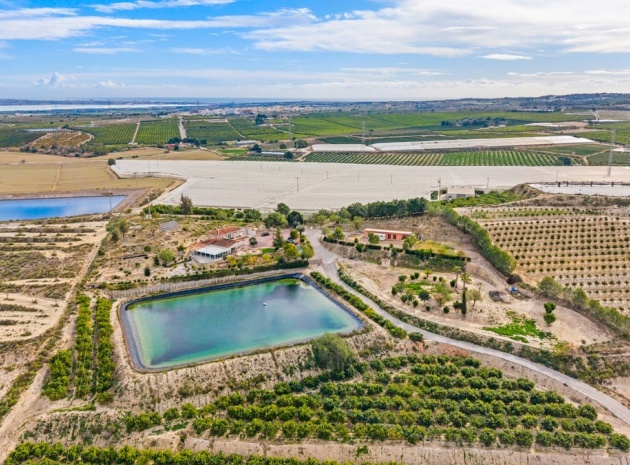 Wiederverkauf - Country Property - Orihuela - Torremendo