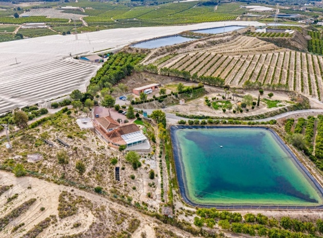 Wiederverkauf - Country Property - Orihuela - Torremendo