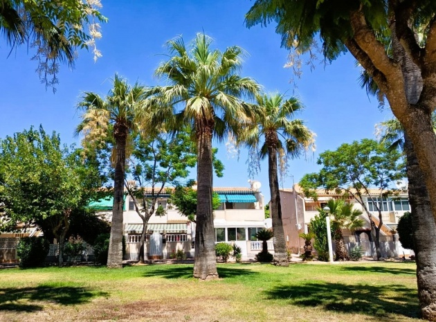 Resale - Villa - Orihuela - La Regia