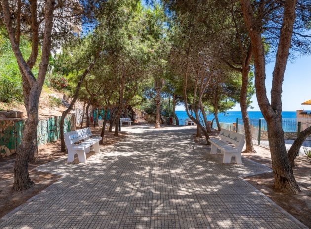 Wiederverkauf - Wohnung - Orihuela - Cabo Roig