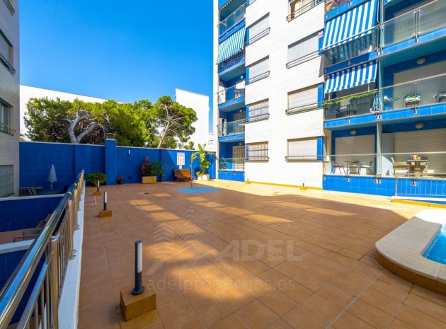 Resale - Apartment - Torrevieja - Playa De Los Locos