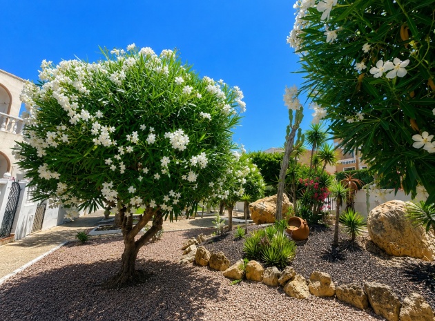 Wiederverkauf - Villa - Torrevieja - La Mata