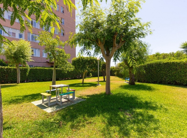 Resale - Apartment - Torrevieja - La Mata