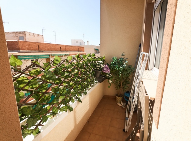Resale - Apartment - Torrevieja - Torrevieja Centro
