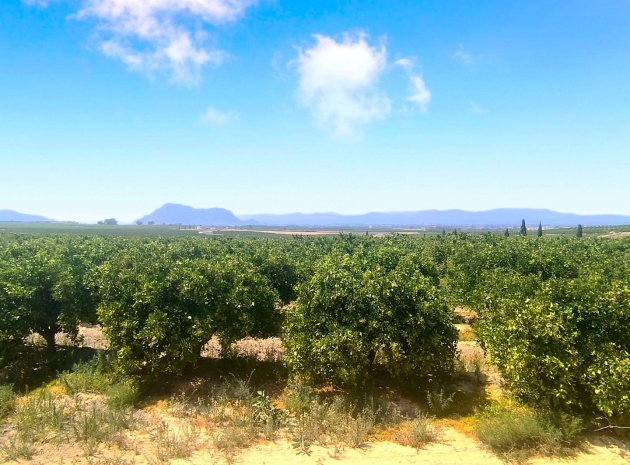 Resale - Apartment - Algorfa - La Finca Golf Resort