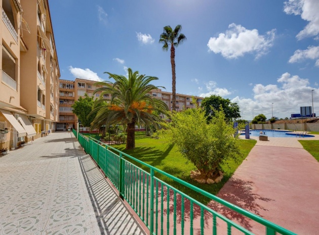 Wiederverkauf - Wohnung - Torrevieja
