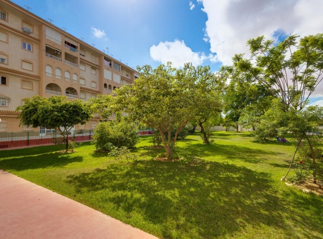 Wiederverkauf - Wohnung - Torrevieja