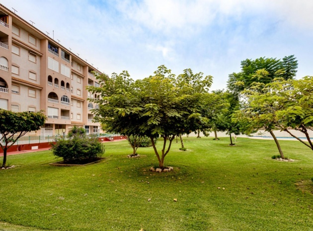 Wiederverkauf - Wohnung - Torrevieja