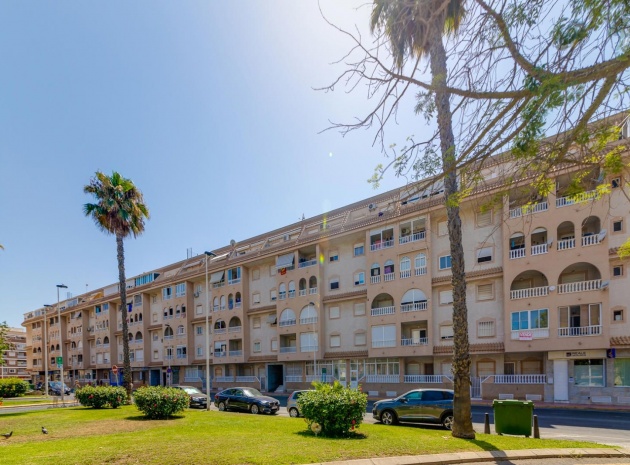 Wiederverkauf - Wohnung - Torrevieja