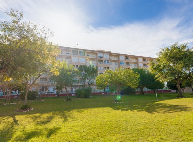 Wiederverkauf - Wohnung - Torrevieja