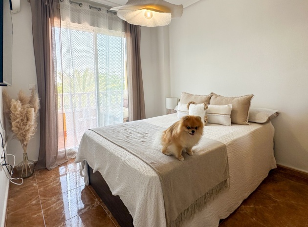 Resale - Apartment - Guardamar del Segura - beachside