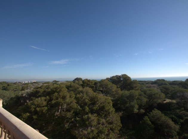 New Build - Apartment - Guardamar del Segura - Centro