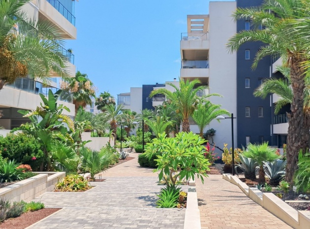Resale - Apartment - Orihuela - Los Dolses
