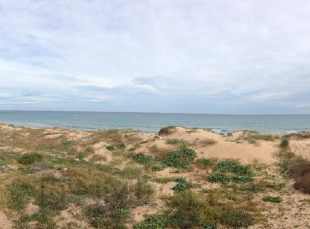 Resale - Apartment - Torrevieja - La Mata