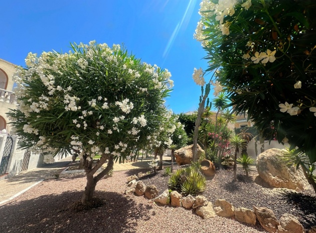 Resale - Villa - Torrevieja - La Mata