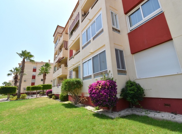 Resale - Apartment - Playa Flamenca - jumilla