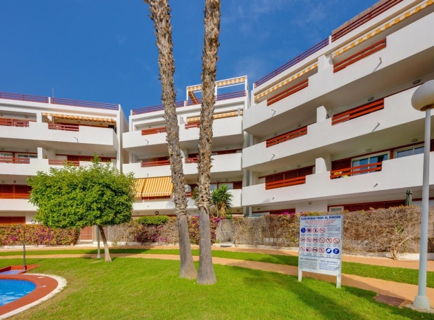 Resale - Apartment - Playa Flamenca - el rincon