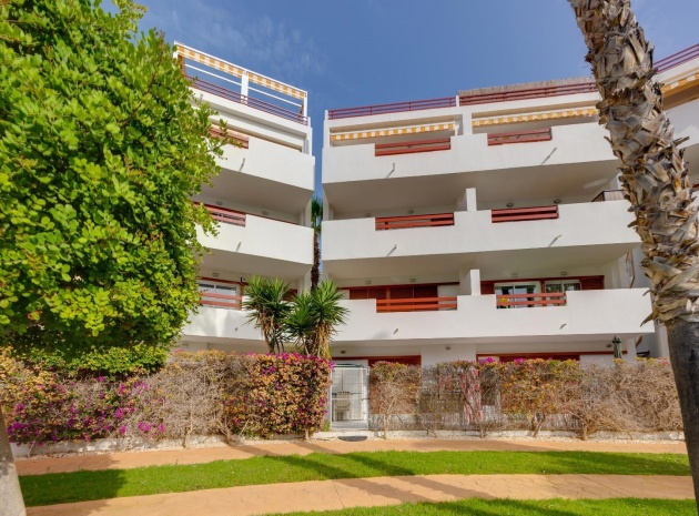 Resale - Apartment - Playa Flamenca - el rincon