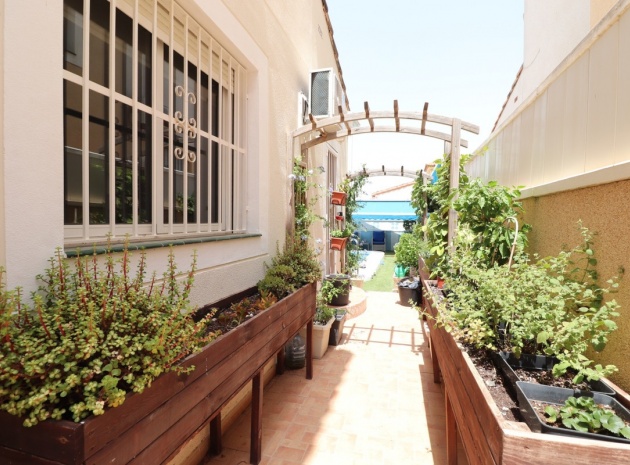 Resale - Villa - Algorfa - Algorfa Centro