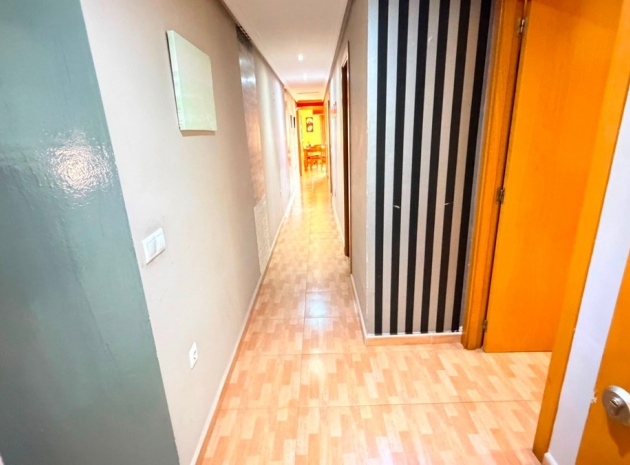 Resale - Apartment - Los Montesinos - Los Montesinos Centro