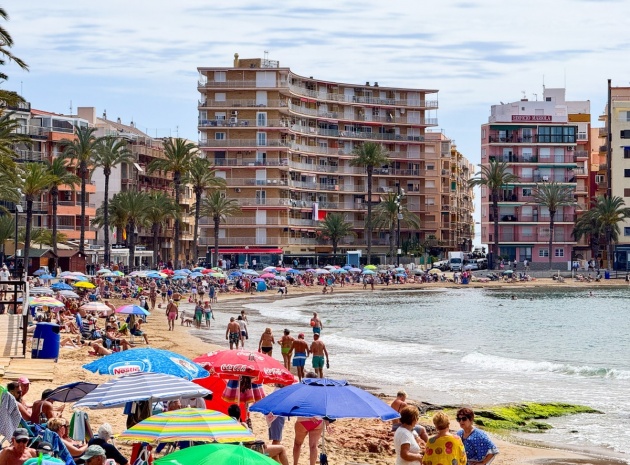 Wiederverkauf - Wohnung - Torrevieja - Torrevieja Centro