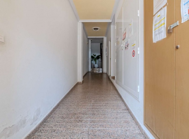 Revente - Appartement - Torrevieja - Beachside Torrevieja