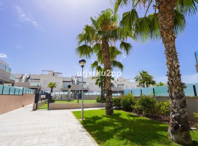 Återförsäljning - Lägenhet - Torrevieja - Aguas Nuevas