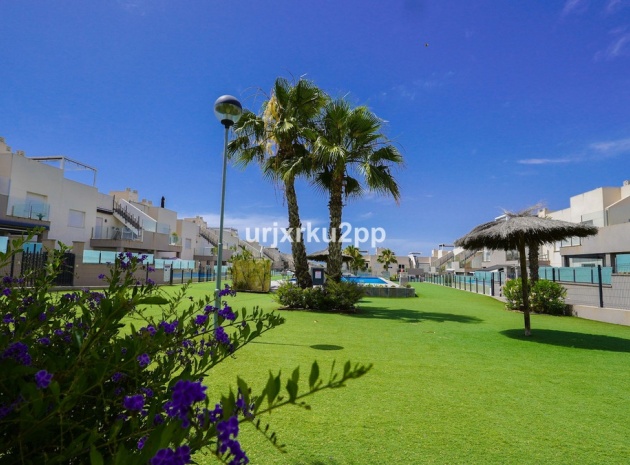 Återförsäljning - Lägenhet - Torrevieja - Aguas Nuevas