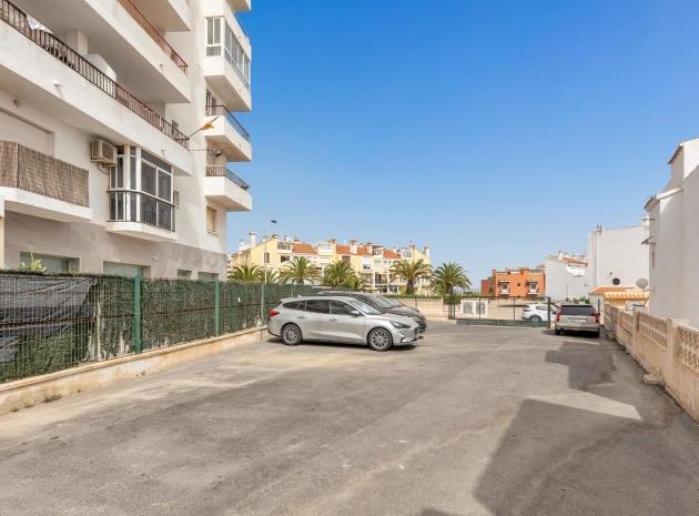 Wiederverkauf - Wohnung - Torrevieja - Torreblanca
