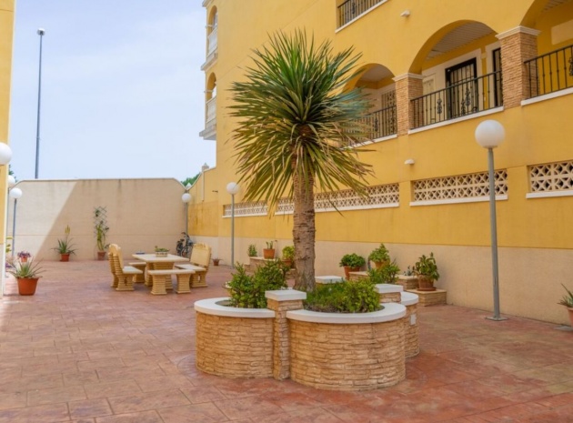 Revente - Appartement - Algorfa - fontana