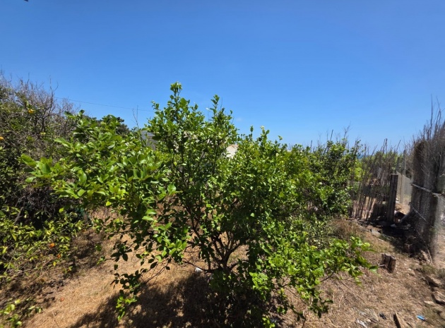 Återförsäljning - Villa - Guardamar del Segura - Guardamar del Segura Centro
